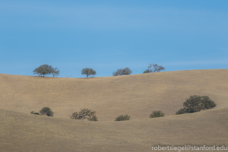 pinnacles